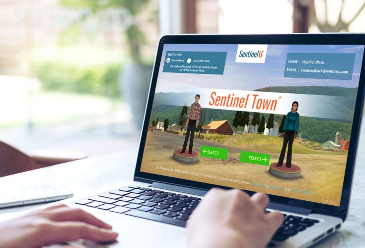Sentinel Town simulation on a computer screen